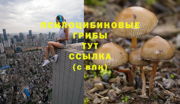 ALPHA PVP Бугульма
