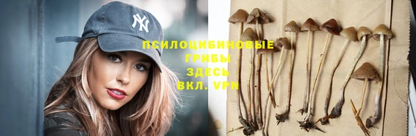 стафф Бородино