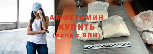 стафф Бородино